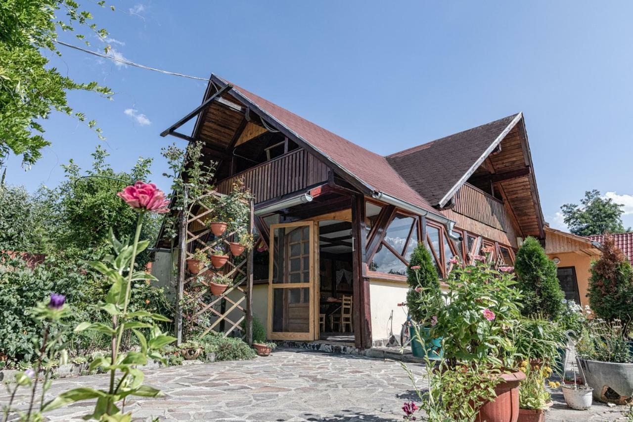 Casa Mihai Purcareni Exterior foto